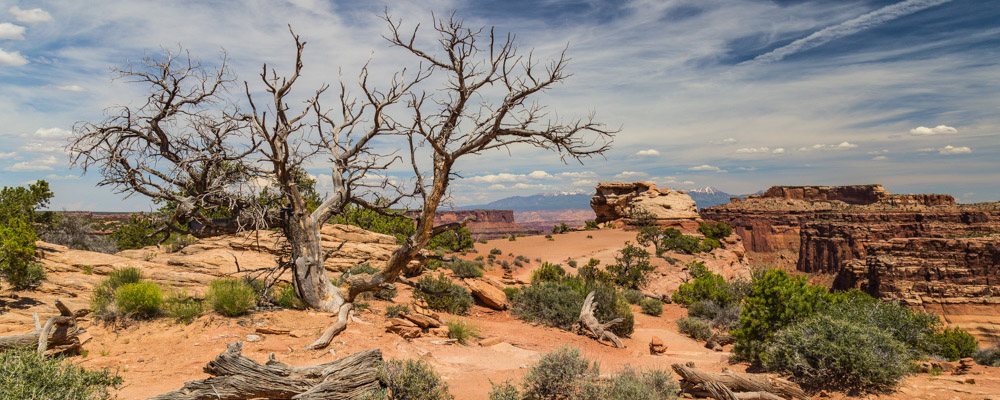 Canyonlands National Park Trail Maps - National Parked