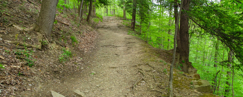 Hike the Brandywine Gorge Loop (U.S. National Park Service)