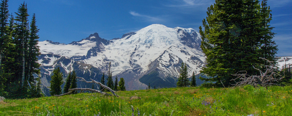 Mount Rainier National Park: An Artist's Tour — Books