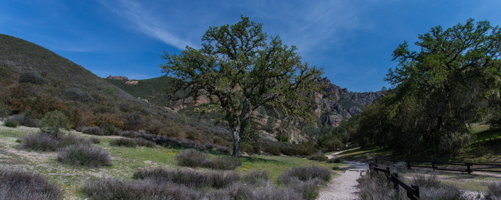 Pinnacles National Park Visitation Stats National Parked