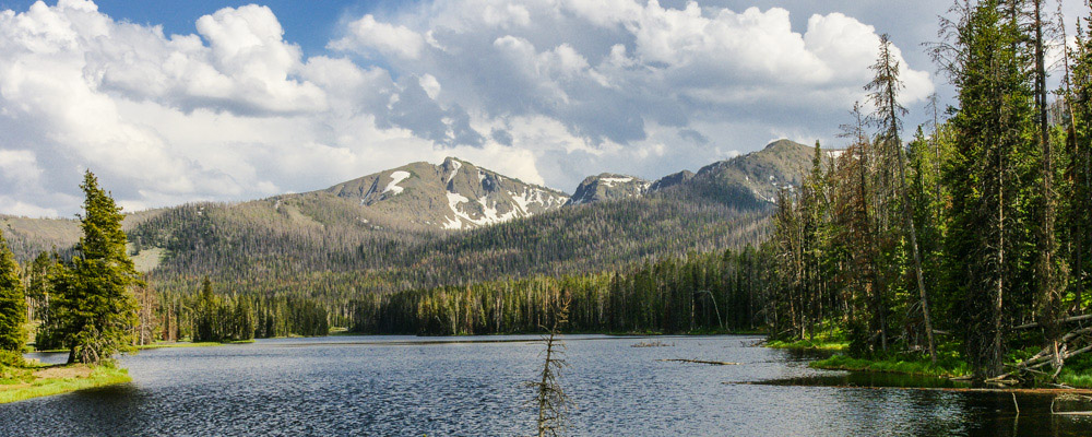 Yellowstone National Park's East Entrance Road - National Parked